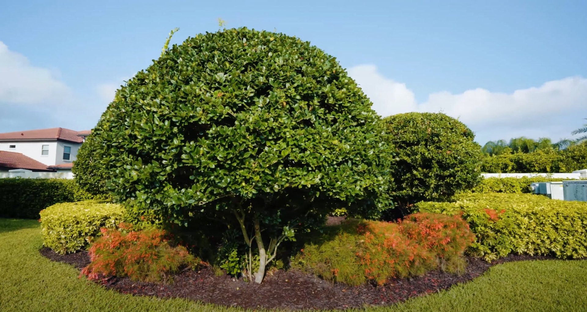 Professional landscape design with mature trees and colorful flower beds
