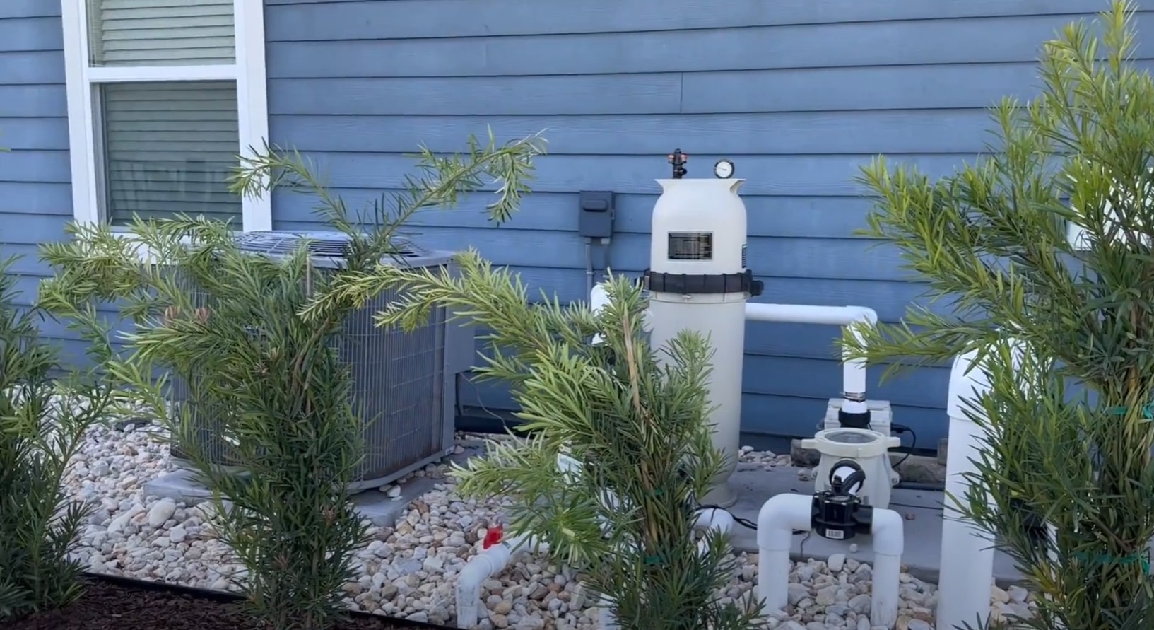 Pool equipment landscaping with decorative plants and stone mulch