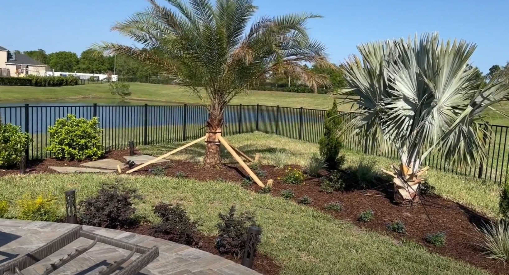 Tropical landscape design with palm trees and curved pathways