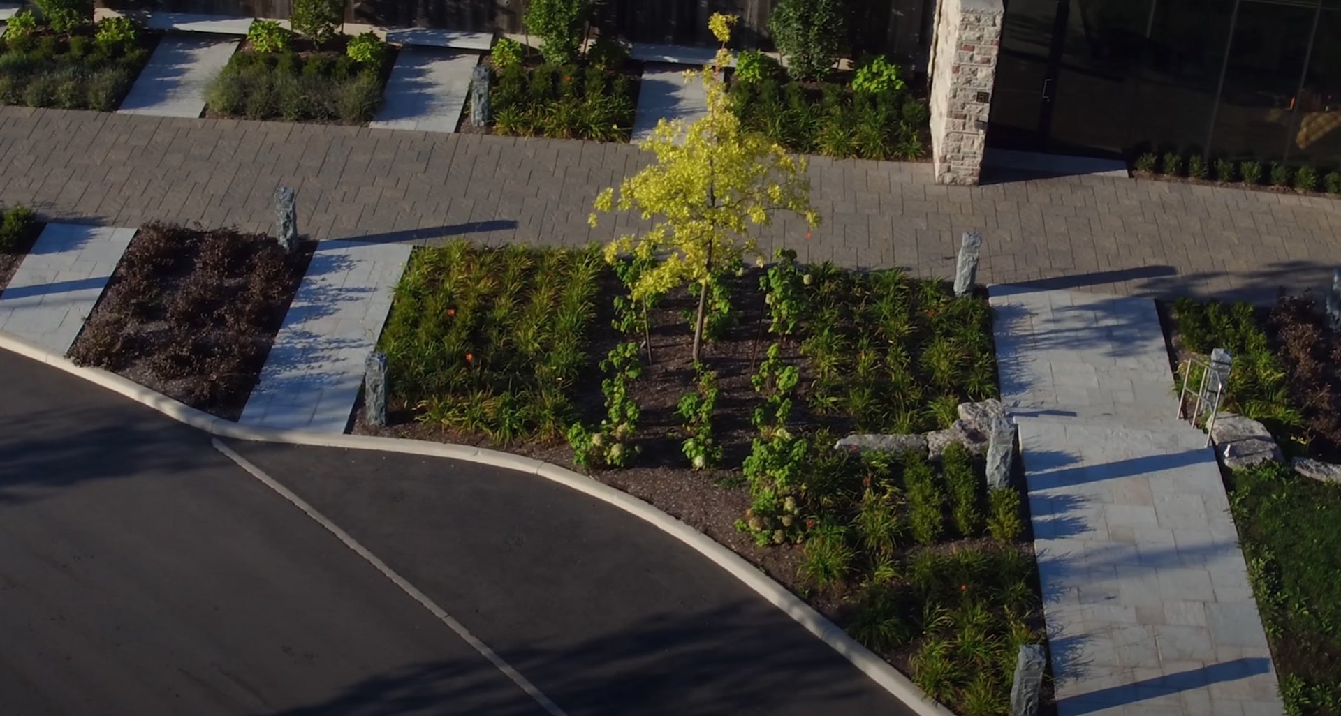 Residential landscape installation with modern plantings and stone features